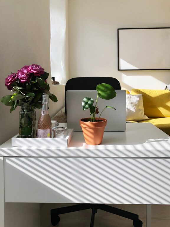 Tips for Creating a Cozy and Functional Home Office Space
