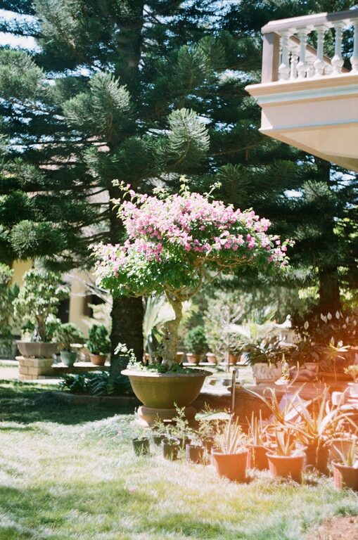 Tips for Creating a Relaxing Outdoor Garden Space at Home